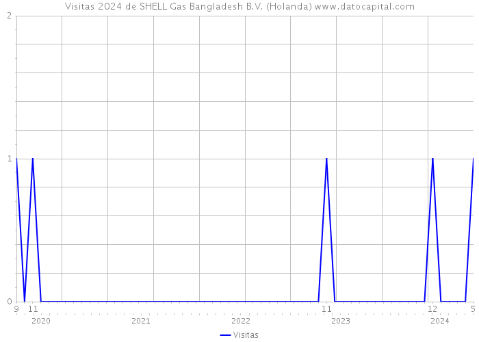 Visitas 2024 de SHELL Gas Bangladesh B.V. (Holanda) 