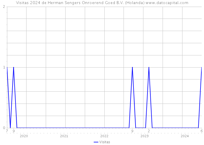 Visitas 2024 de Herman Sengers Onroerend Goed B.V. (Holanda) 