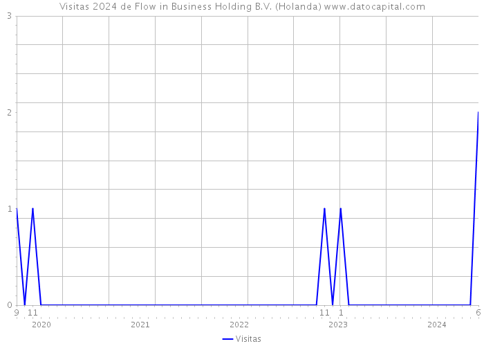 Visitas 2024 de Flow in Business Holding B.V. (Holanda) 