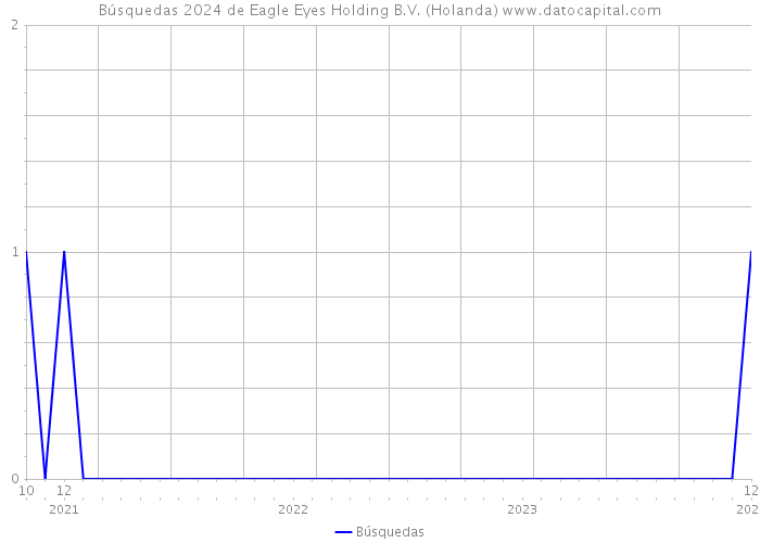 Búsquedas 2024 de Eagle Eyes Holding B.V. (Holanda) 