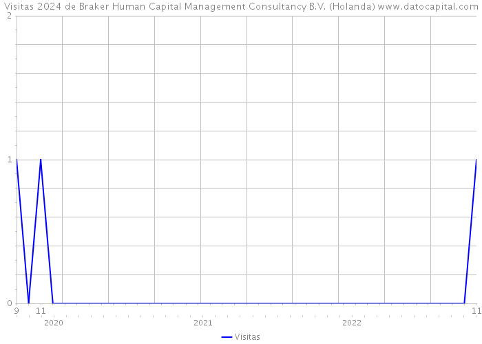 Visitas 2024 de Braker Human Capital Management Consultancy B.V. (Holanda) 