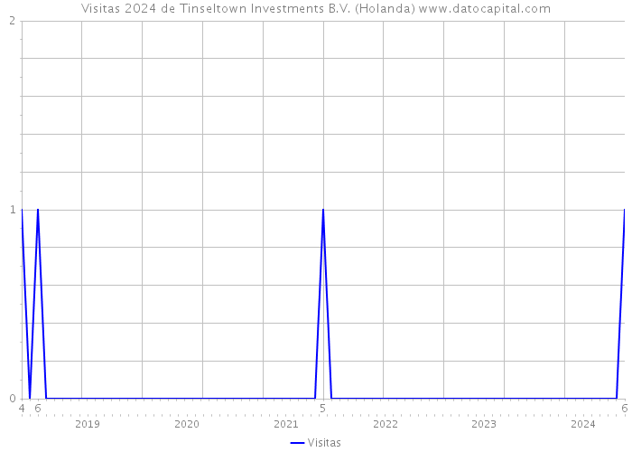Visitas 2024 de Tinseltown Investments B.V. (Holanda) 