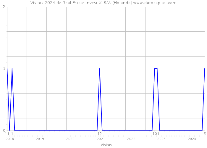 Visitas 2024 de Real Estate Invest XI B.V. (Holanda) 