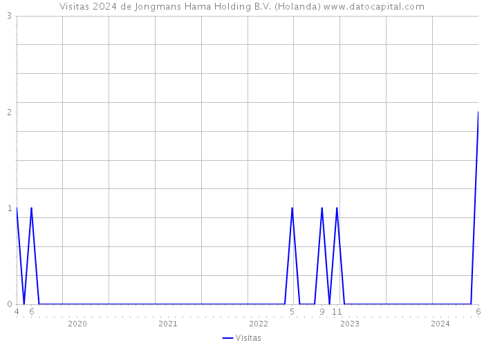 Visitas 2024 de Jongmans Hama Holding B.V. (Holanda) 