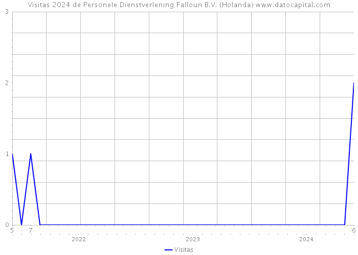 Visitas 2024 de Personele Dienstverlening Falloun B.V. (Holanda) 