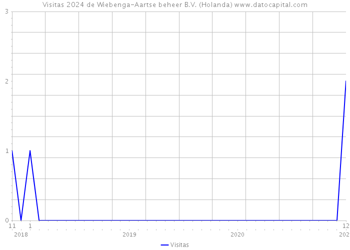 Visitas 2024 de Wiebenga-Aartse beheer B.V. (Holanda) 