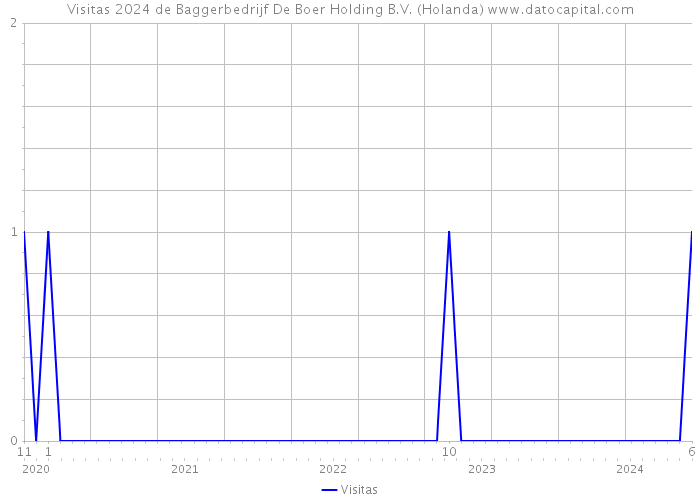 Visitas 2024 de Baggerbedrijf De Boer Holding B.V. (Holanda) 