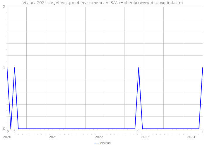 Visitas 2024 de JVI Vastgoed Investments VI B.V. (Holanda) 