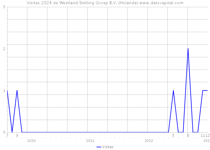 Visitas 2024 de Westland Stelling Groep B.V. (Holanda) 