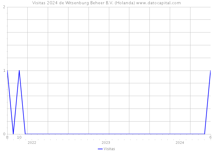 Visitas 2024 de Witsenburg Beheer B.V. (Holanda) 