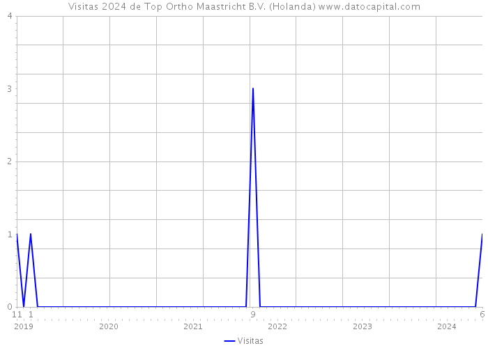 Visitas 2024 de Top Ortho Maastricht B.V. (Holanda) 