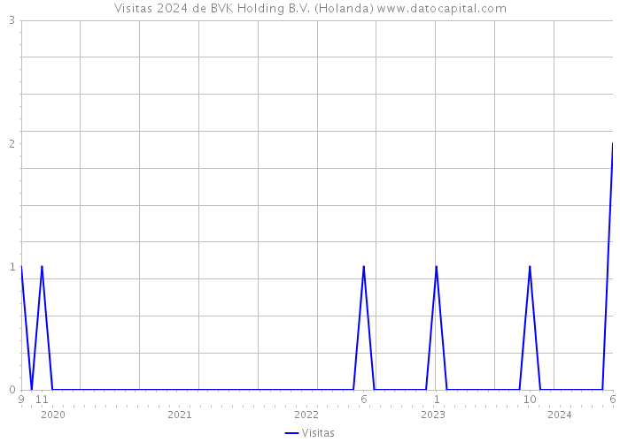 Visitas 2024 de BVK Holding B.V. (Holanda) 