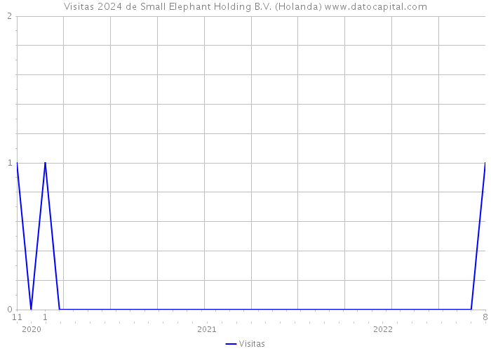 Visitas 2024 de Small Elephant Holding B.V. (Holanda) 