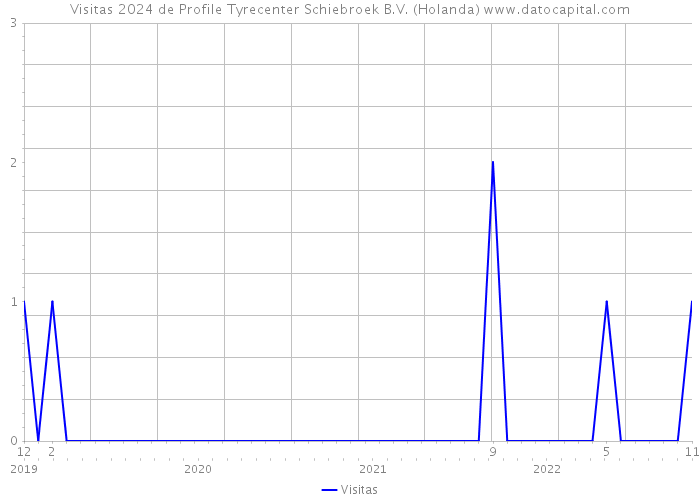 Visitas 2024 de Profile Tyrecenter Schiebroek B.V. (Holanda) 