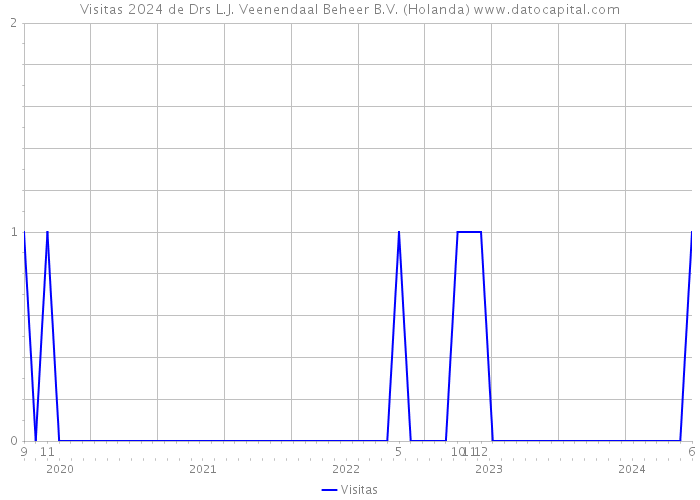 Visitas 2024 de Drs L.J. Veenendaal Beheer B.V. (Holanda) 