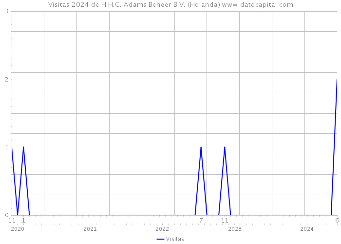 Visitas 2024 de H.H.C. Adams Beheer B.V. (Holanda) 