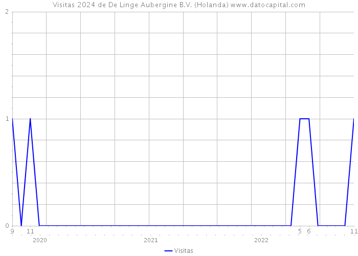 Visitas 2024 de De Linge Aubergine B.V. (Holanda) 