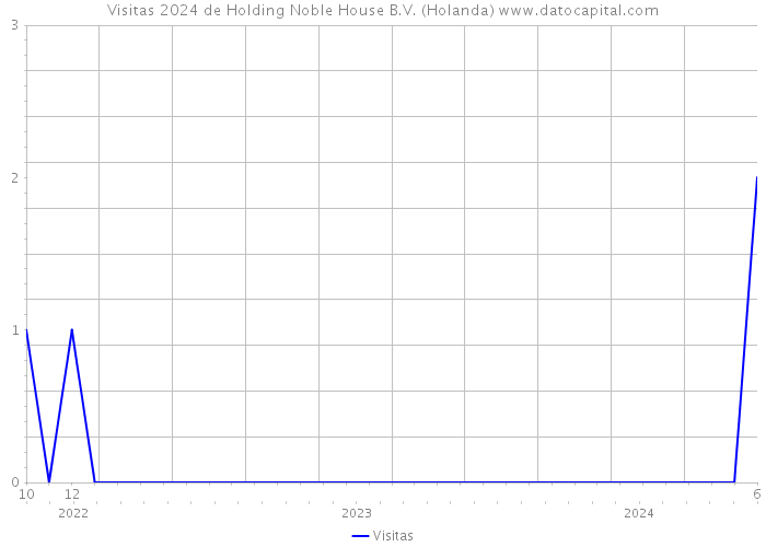 Visitas 2024 de Holding Noble House B.V. (Holanda) 