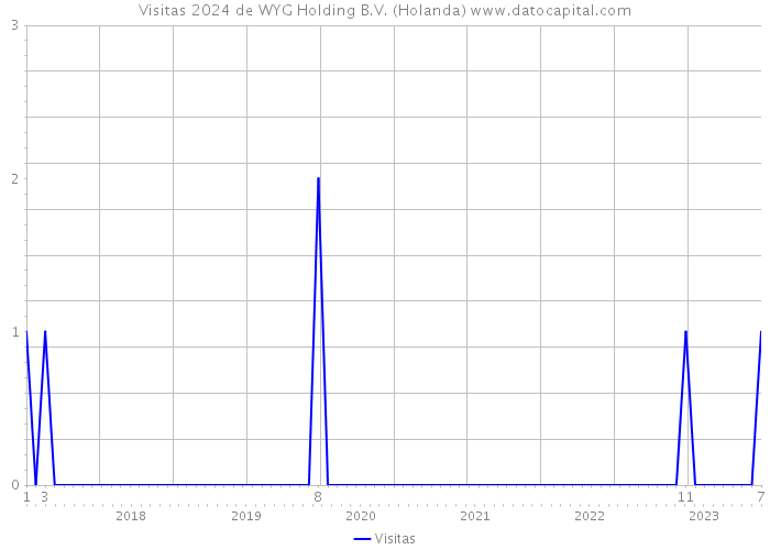 Visitas 2024 de WYG Holding B.V. (Holanda) 