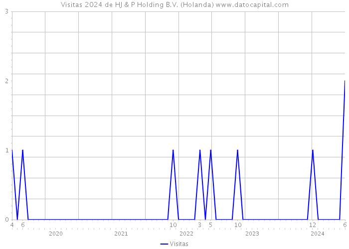 Visitas 2024 de HJ & P Holding B.V. (Holanda) 