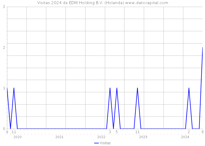 Visitas 2024 de EDM Holding B.V. (Holanda) 