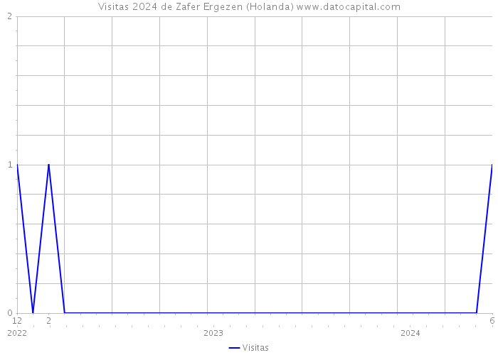 Visitas 2024 de Zafer Ergezen (Holanda) 