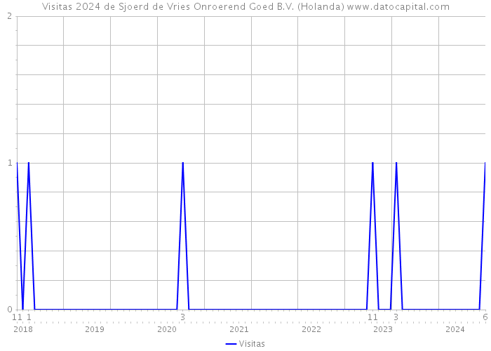 Visitas 2024 de Sjoerd de Vries Onroerend Goed B.V. (Holanda) 