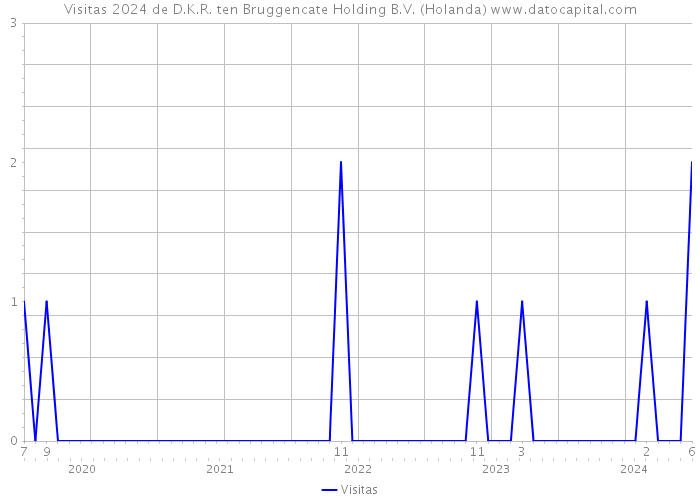 Visitas 2024 de D.K.R. ten Bruggencate Holding B.V. (Holanda) 