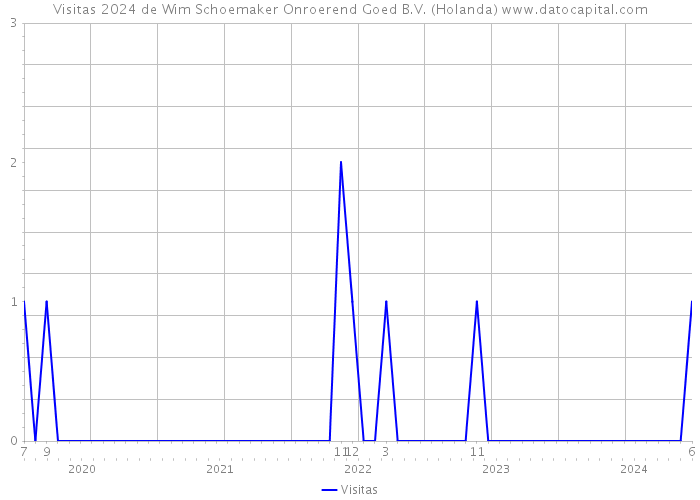 Visitas 2024 de Wim Schoemaker Onroerend Goed B.V. (Holanda) 