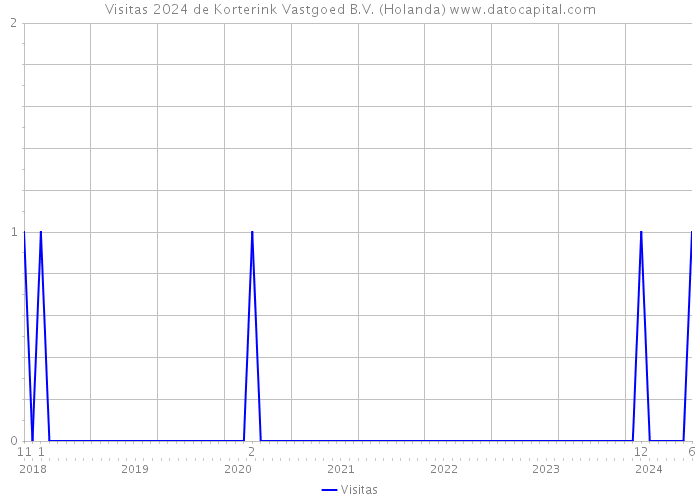 Visitas 2024 de Korterink Vastgoed B.V. (Holanda) 