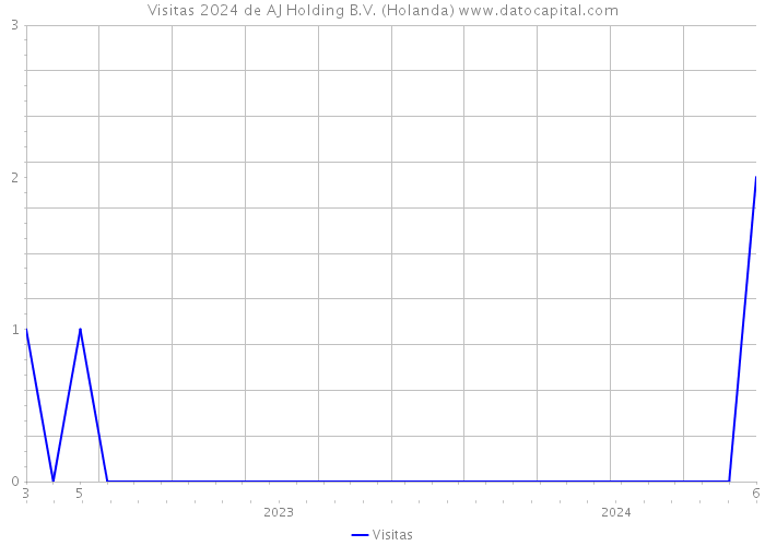 Visitas 2024 de AJ Holding B.V. (Holanda) 