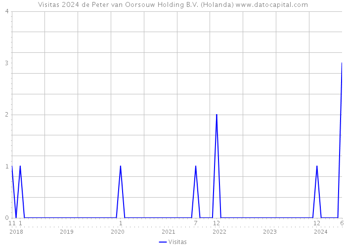 Visitas 2024 de Peter van Oorsouw Holding B.V. (Holanda) 