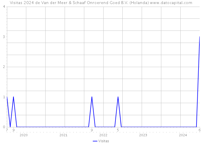 Visitas 2024 de Van der Meer & Schaaf Onroerend Goed B.V. (Holanda) 