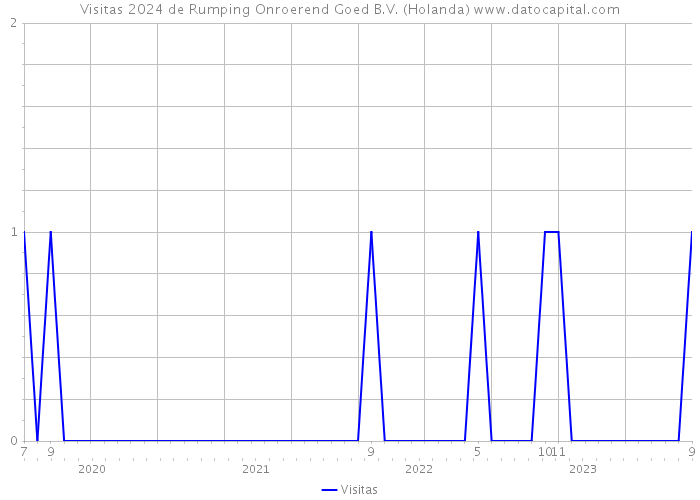 Visitas 2024 de Rumping Onroerend Goed B.V. (Holanda) 