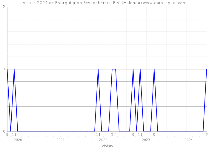 Visitas 2024 de Bourguignon Schadeherstel B.V. (Holanda) 