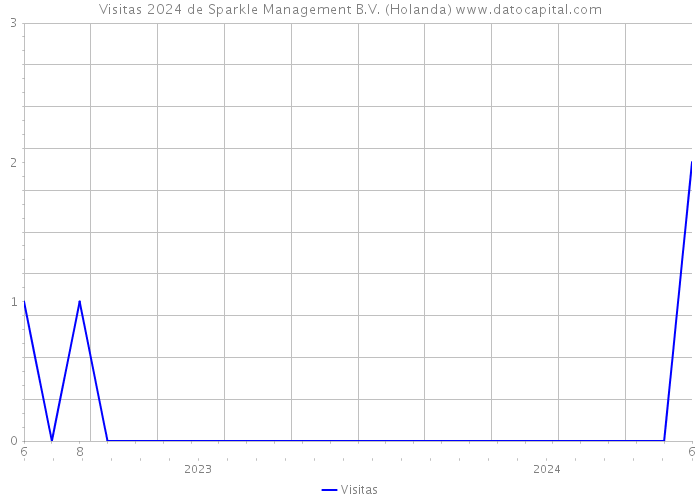 Visitas 2024 de Sparkle Management B.V. (Holanda) 