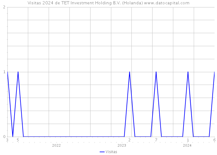 Visitas 2024 de TET Investment Holding B.V. (Holanda) 