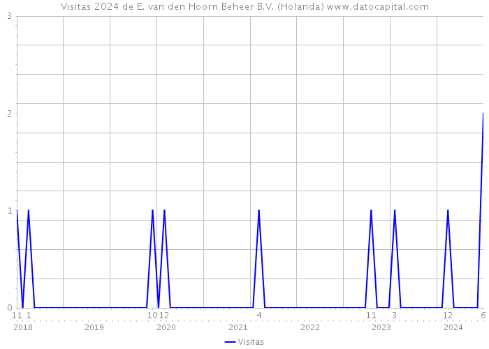 Visitas 2024 de E. van den Hoorn Beheer B.V. (Holanda) 