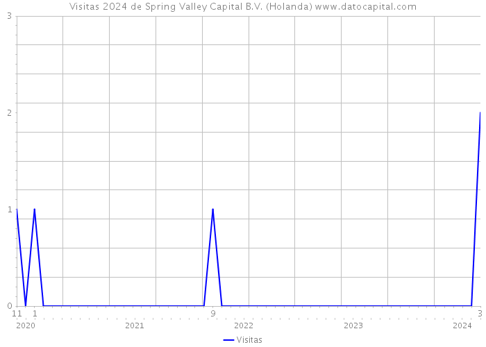 Visitas 2024 de Spring Valley Capital B.V. (Holanda) 