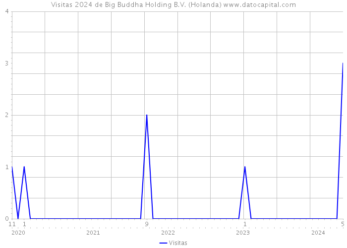 Visitas 2024 de Big Buddha Holding B.V. (Holanda) 