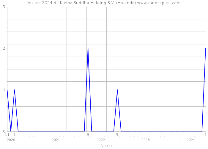 Visitas 2024 de Kleine Buddha Holding B.V. (Holanda) 