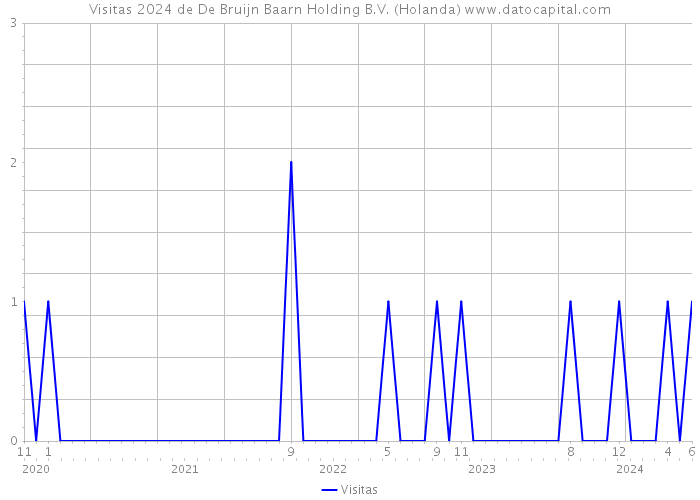 Visitas 2024 de De Bruijn Baarn Holding B.V. (Holanda) 