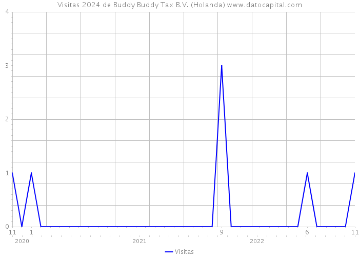 Visitas 2024 de Buddy Buddy Tax B.V. (Holanda) 