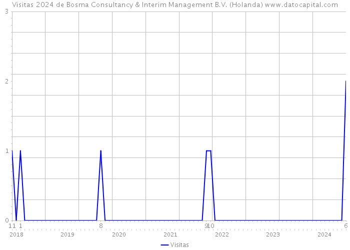 Visitas 2024 de Bosma Consultancy & Interim Management B.V. (Holanda) 