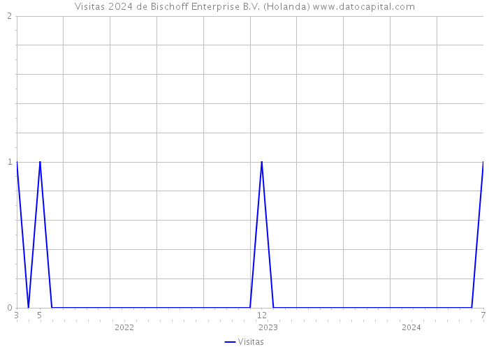 Visitas 2024 de Bischoff Enterprise B.V. (Holanda) 