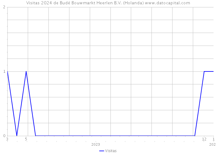 Visitas 2024 de Budé Bouwmarkt Heerlen B.V. (Holanda) 