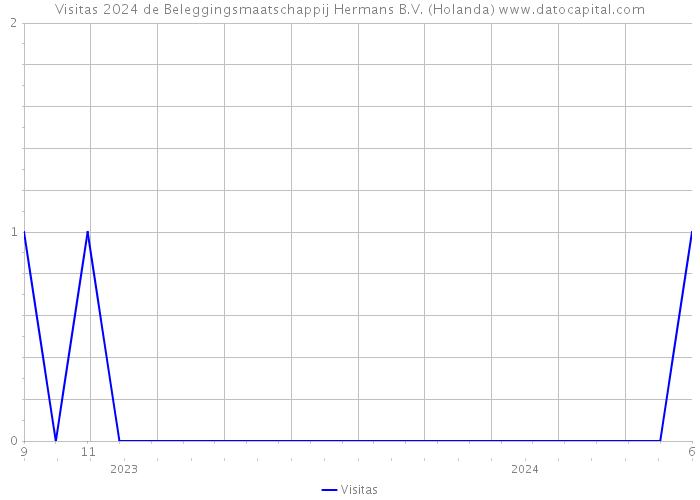 Visitas 2024 de Beleggingsmaatschappij Hermans B.V. (Holanda) 