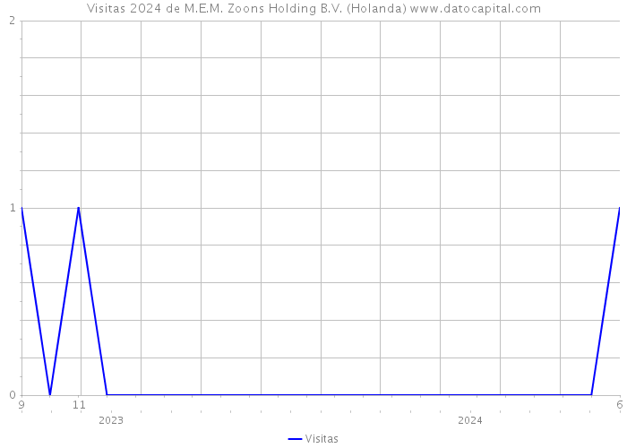 Visitas 2024 de M.E.M. Zoons Holding B.V. (Holanda) 
