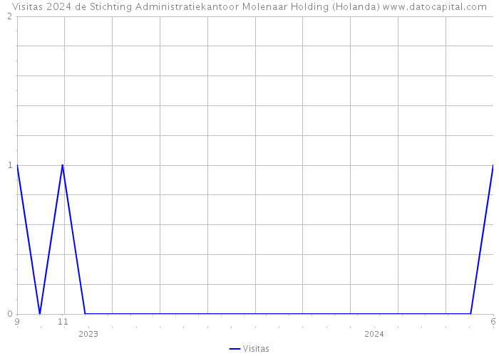 Visitas 2024 de Stichting Administratiekantoor Molenaar Holding (Holanda) 