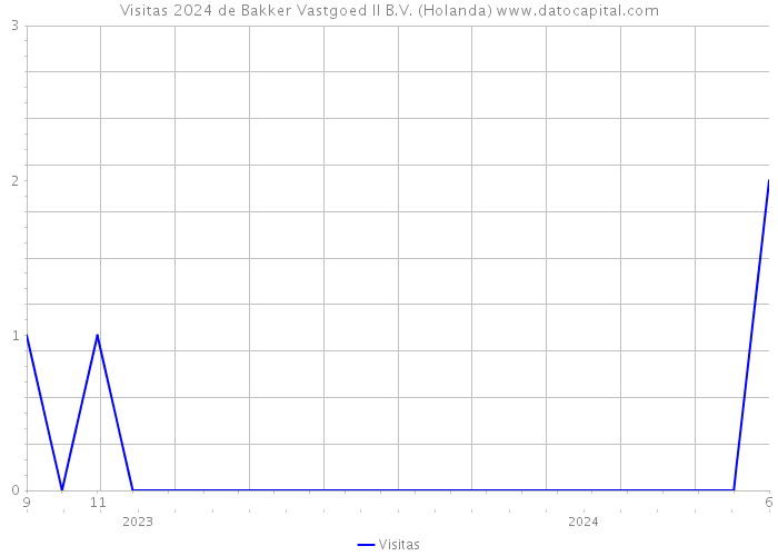 Visitas 2024 de Bakker Vastgoed II B.V. (Holanda) 